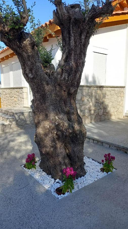 Casa Di'Elen Villa Faliraki Buitenkant foto